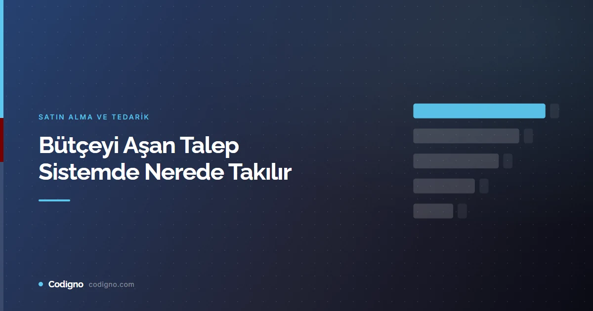 Bütçeyi Aşan Talep Sistemde Nerede Takılır