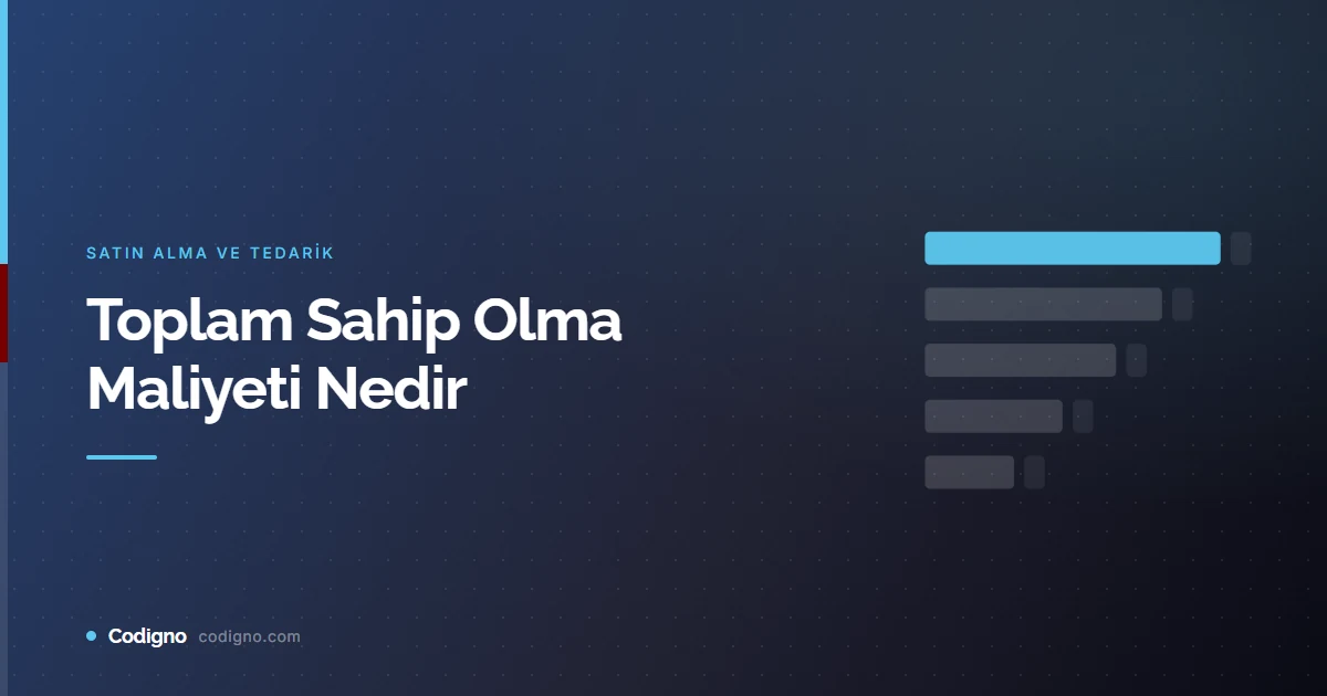 Toplam Sahip Olma Maliyeti Nedir
